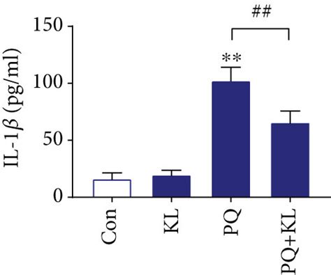 KL Treatment Improves Cell Viability Alleviates Inflammatory Response