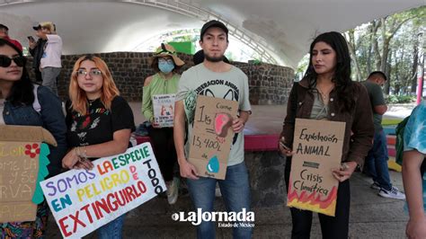 Por Defensa En El Dia De La Tierra Marchan En Toluca