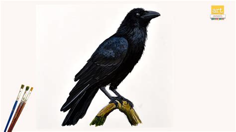 A4 size 21x30cm pastel drawing corvid art Number 5 Crow ORIGINAL sketch ...