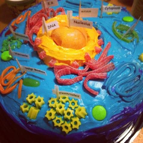 3d Model Of Eukaryotic Cell