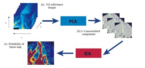 Ica Pca Analysis Process On The Reflectance Images Solving