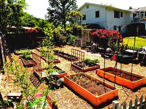 20 Patio Vegetable Garden Containers Ideas You Must Look Sharonsable