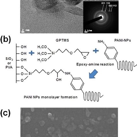 A HRTEM And SAED Image Of Synthesized PANI NPs B Schematic Diagram