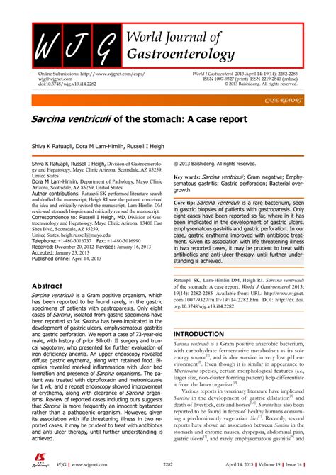 PDF Sarcina Ventriculi Of The Stomach A Case Report