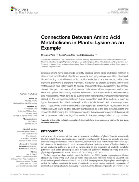 Pdf Connections Between Amino Acid Metabolisms In Plants Lysine As An Example