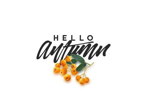 Premium Vector Hello Autumn Black Text Handwritten Calligraphy