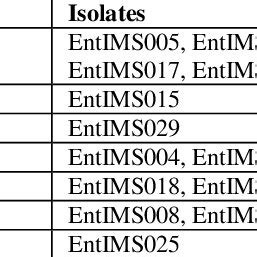 Enterobacter spp in clinical samples obtained during | Download ...