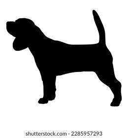 Beagle Dog Silhouette Dog Breeds Stock Vector (Royalty Free) 2285957293 ...