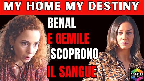 MY HOME MY DESTINY Zenip In Imbarazzo Benal Prende Una Decisione