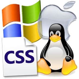 Types Of Computer Operating Systems – Answers To All Types Of Questions ...