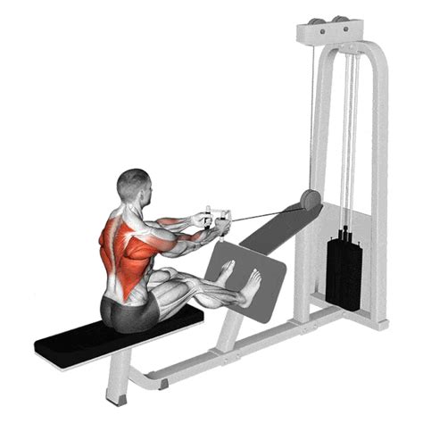 Tirage Horizontal Rowing Assis Exercices Dos Philosofit