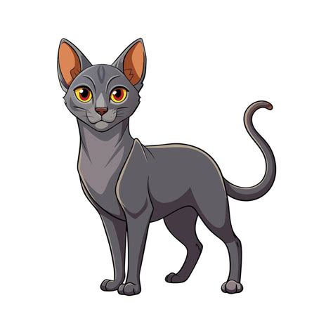 Realistic Illustration Of Popular Pet Cat 47286279 Vector Art At Vecteezy