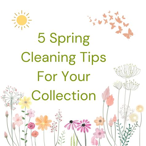 Spring Cleaning Tips For Your Collection Aasl Knowledge Quest