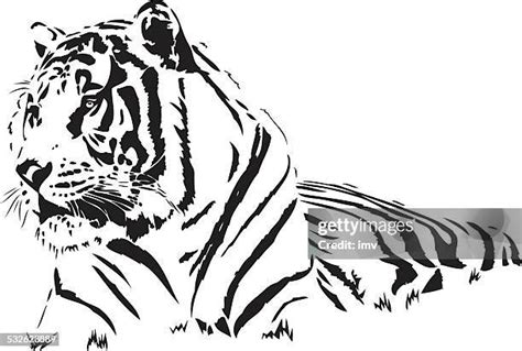 689 Sad Tiger Stock Photos, High-Res Pictures, and Images - Getty Images