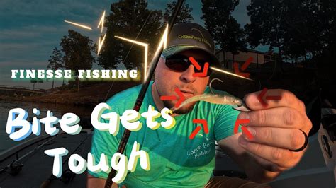 Finesse Baits You Need To Have Tied On This Summer Youtube