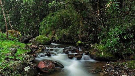 Conozca El Ed N Tropical Del Quind O Al Poniente