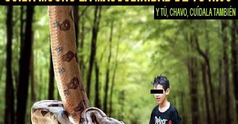 SI A TU HIJO LO HACEN GAY TÚ Y TU HIJO