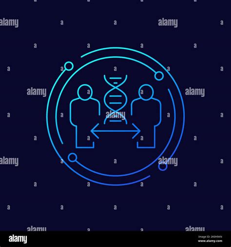 Cloning Line Icon With Dna And Clone Vector Stock Vector Image And Art Alamy