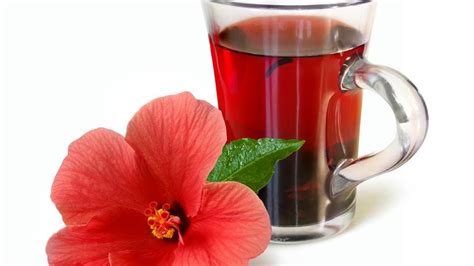 Health Benefits Of Hibiscus Tea Forbes Health