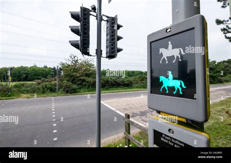 Horse rider traffic lights crossing known as a Pegasus crossing in The ...