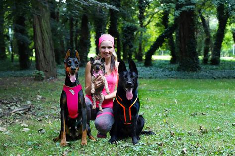 Jeune Fille Blonde Yorkshire Photo Gratuite Sur Pixabay Pixabay