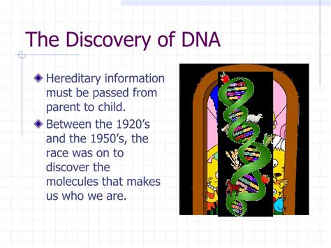 Ppt How Did Scientists Come To Understand Dna Powerpoint