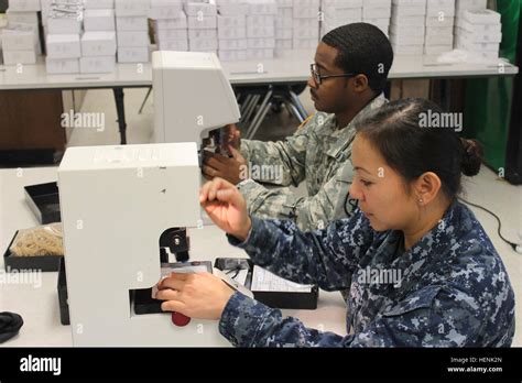 U S Navy Hospitalman Abigail Alonso An Ophthalmic Specialist And U S