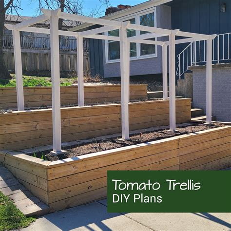 Blueprints For Tomato Trellis Tomato Cage Etsy