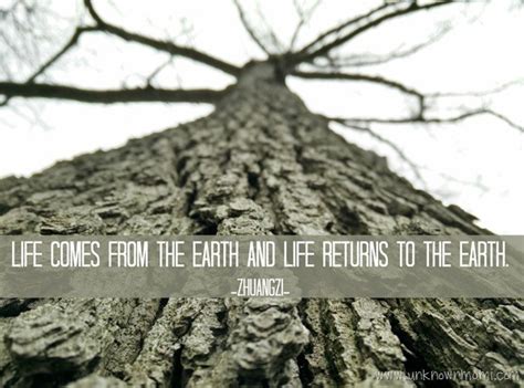 8 Earth Day Quotes for Earth-Loving Earthlings - By Claudya