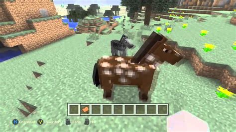 Minecraft Xbox One How To Tame And Ride Horses Tutorial Horses On