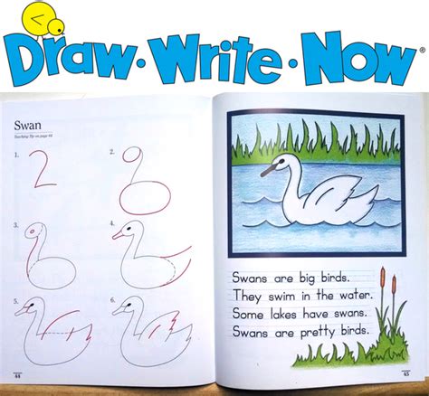 Draw Write Now Books 1 8 Closing The Gap