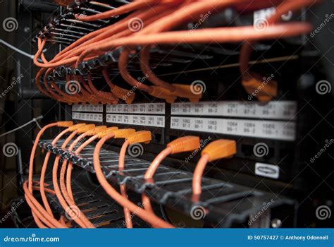 Network Cables Stock Image Image Of Data Money Download 50757427