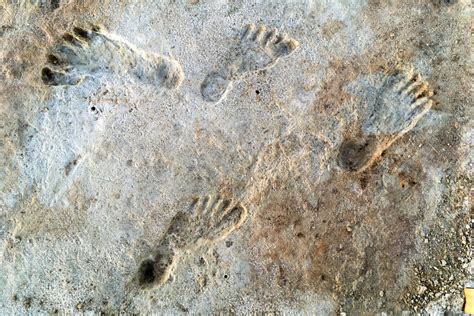 The Discovery Of The Oldest Human Footprints In North America Thrilled