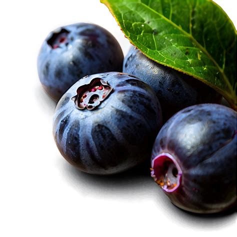 Download Ripe Blueberries Png 38