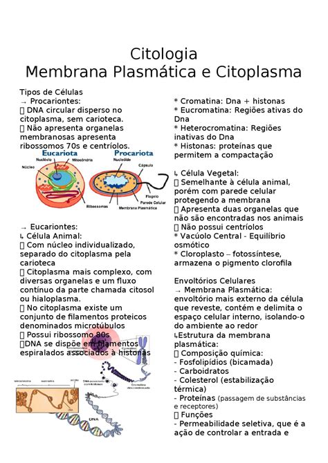 Citoplasma De Células Vegetais