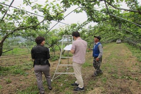 과수 화상병 예찰활동 강화 광주신문