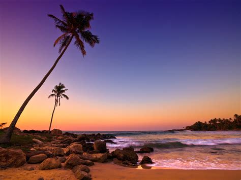 Wallpaper Sri Lanka Sunset Sea Coast Beach Rocks Palm Trees