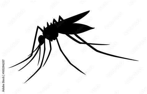 Mosquito Silhouette Png Koleksi Gambar