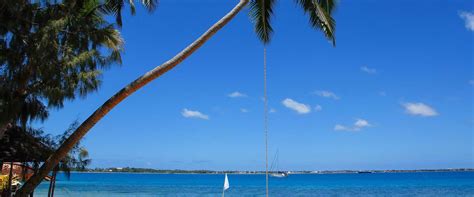 Emancipation Day 2025, 2026 and 2027 in Tonga - PublicHolidays.asia