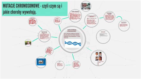 Mutacje Chromosomowe Czyli Czym S I Jakie Choroby Wywo Uj By Julia