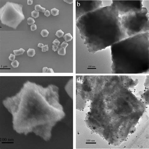 SEM Images Of MOFs A And MOFs AgNPs C TEM Images Of MOFs B And