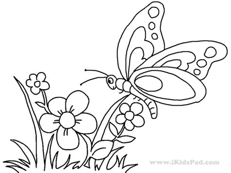 Get This butterfly on flower coloring pages - 893ag