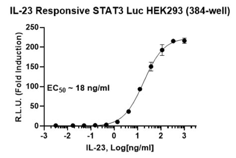 Il Responsive Stat Luciferase Reporter Hek Cell Line