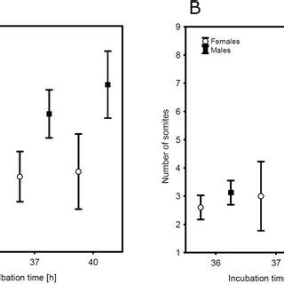 Sexual Dimorphism In The Growth Rate Of Zebra Finch Embryos Arises