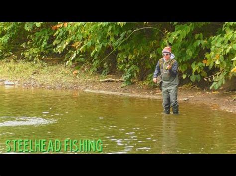 Fishing For STEELHEAD In LAKE ERIE Tributaries YouTube