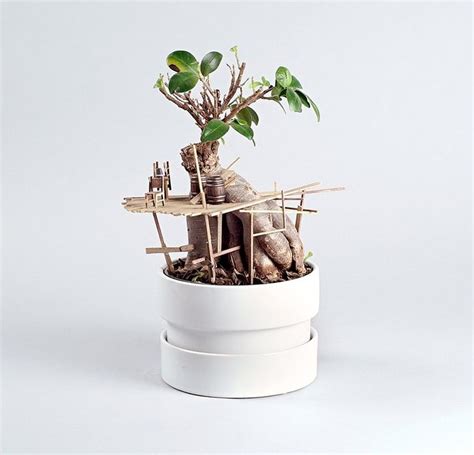 Jedediah Corwyn Voltz Builds Tiny Treehouses In Succulent And Cacti