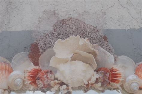 Mirrors Christas South Seashells Sea Shell Decor Coral Mirror