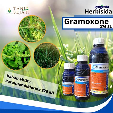 Jual Herbisida Gramoxone Sl Liter Ml Ml Kemasan Pabrik