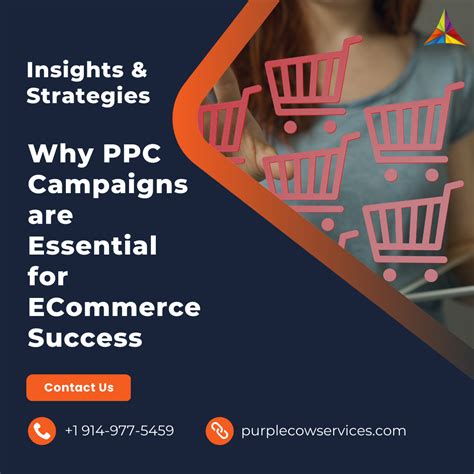 Why Ppc Campaigns Are Essential For Ecommerce Success Insights And