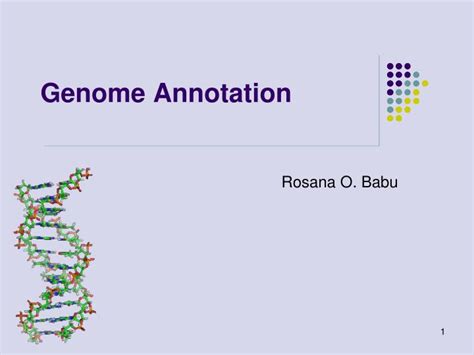 PPT - Genome Annotation PowerPoint Presentation, free download - ID:4776252